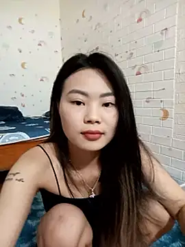 Lynk2x webcam