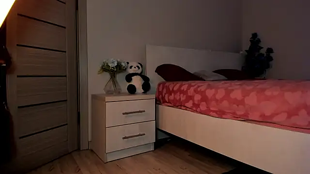 missinfull webcam