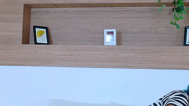 AkiraTamura webcam