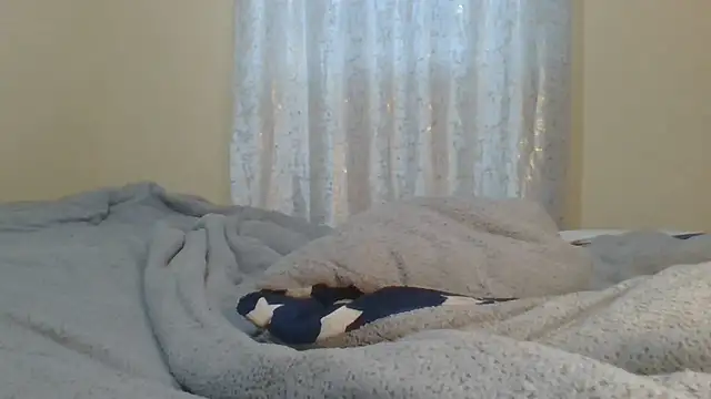 ndivhuwomuleya webcam
