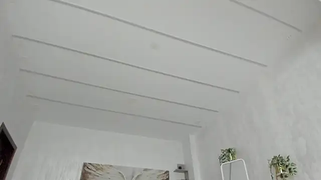 TiffanyHouston_ webcam