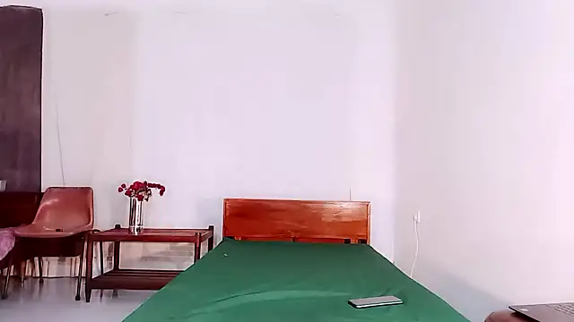 Ashleya1 webcam