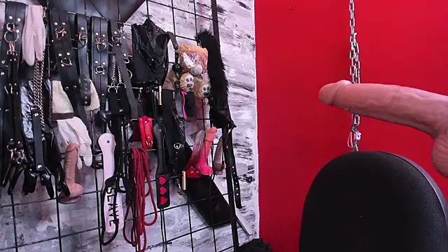 Venus_Bms_ webcam