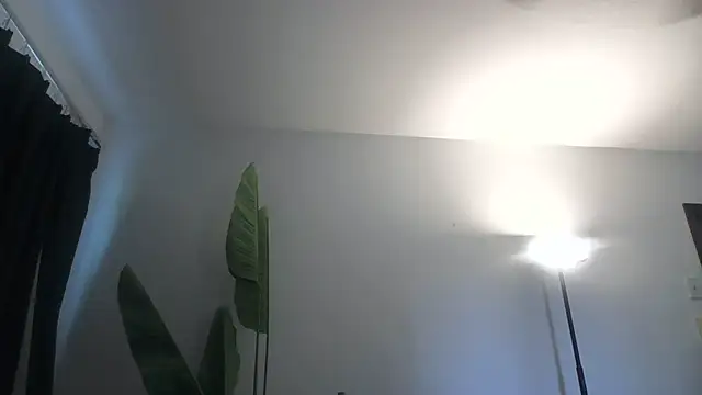 WetFlower69 webcam
