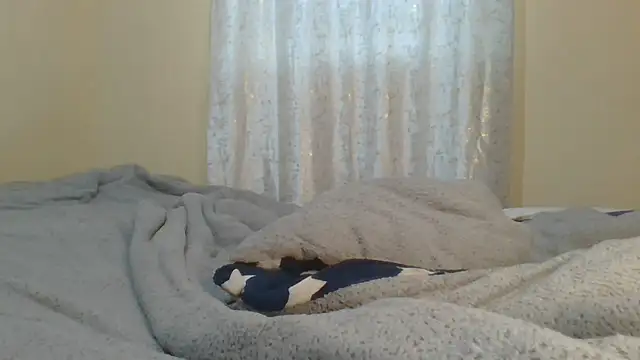 ndivhuwomuleya webcam