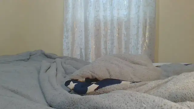 ndivhuwomuleya webcam