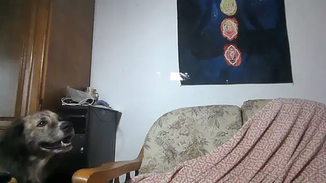 ExquisiteMature webcam