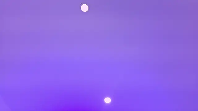 Nascary_Fox webcam