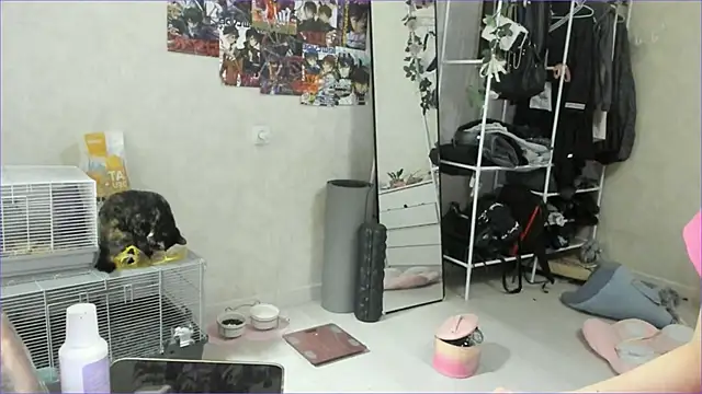 wastforu webcam