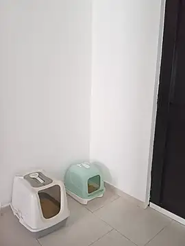 carmesix webcam