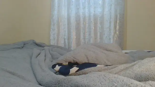 ndivhuwomuleya webcam