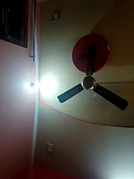 Aarna111 webcam