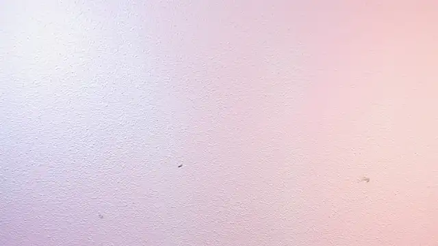 Velvet_Dreamss