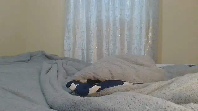 ndivhuwomuleya webcam