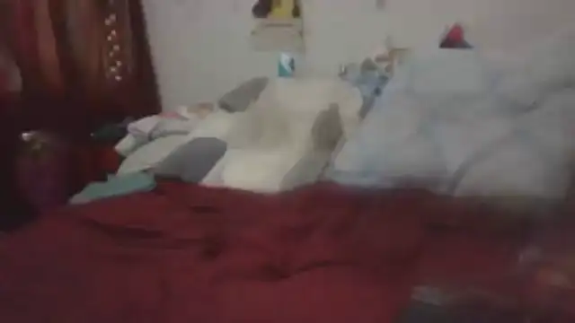 paradisejas webcam