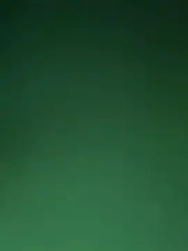 AshaLiveCam webcam