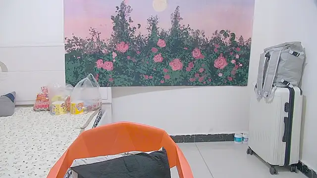 paofu-001 webcam
