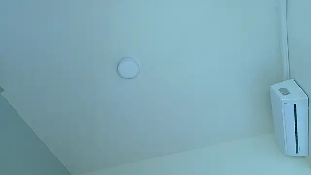 LexaDominant__ webcam
