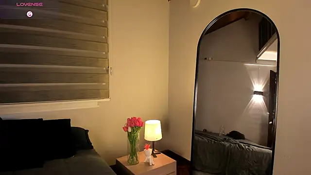 MERIDA_TAYLOR webcam