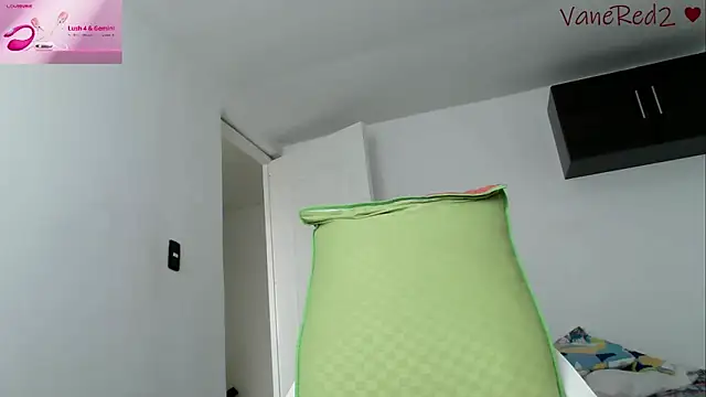 vanered2 webcam