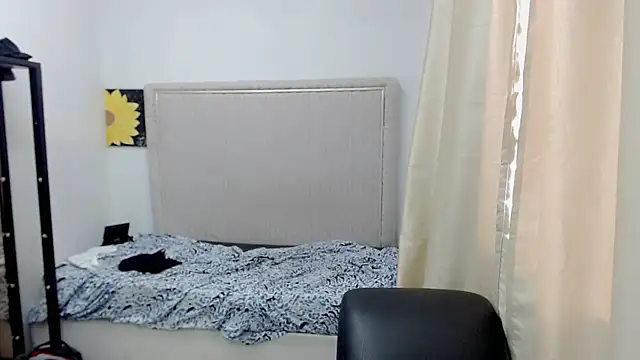 Liarr_ webcam