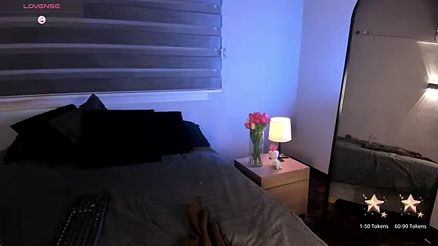 MERIDA_TAYLOR webcam