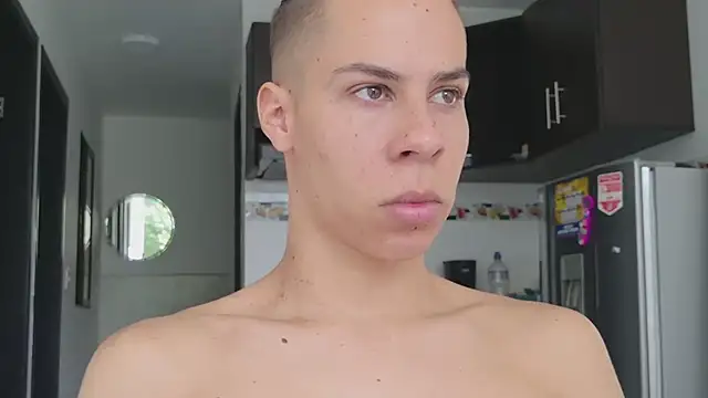 grey___27 webcam