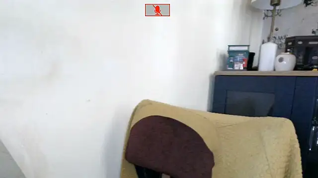Hgay6935 webcam