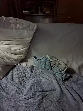 peti_19 webcam