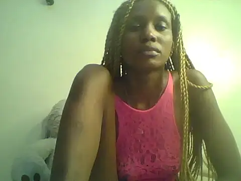 DelteAfriq webcam