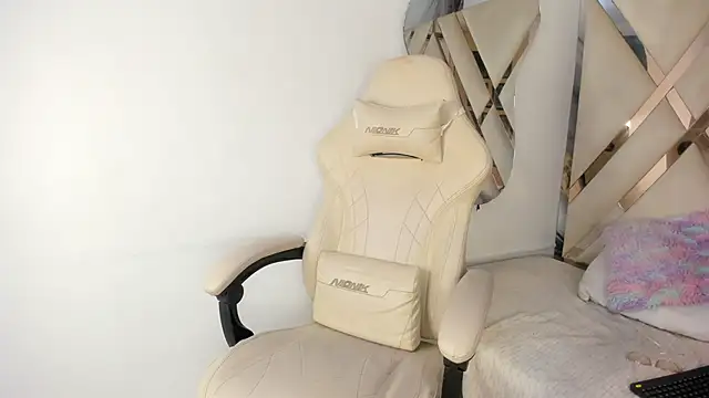 hallyasm webcam