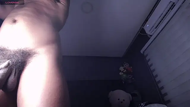 dirty_27cms webcam