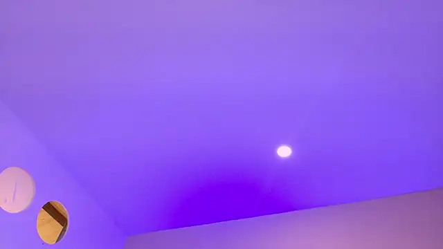 Nascary_Fox webcam