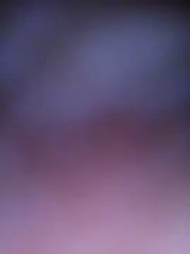 Chinh-Trinh webcam