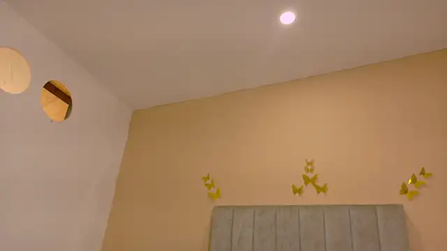Nascary_Fox webcam