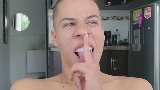 grey___27 webcam