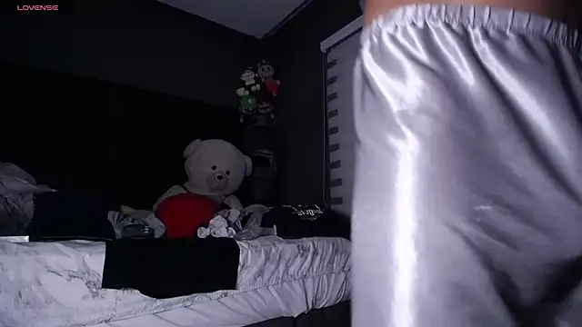 dirty_27cms webcam