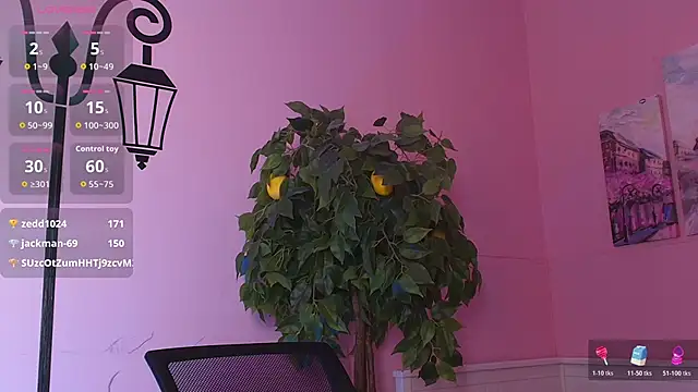 Inari_Okami_ webcam