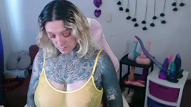 SLOPPYTITSS webcam