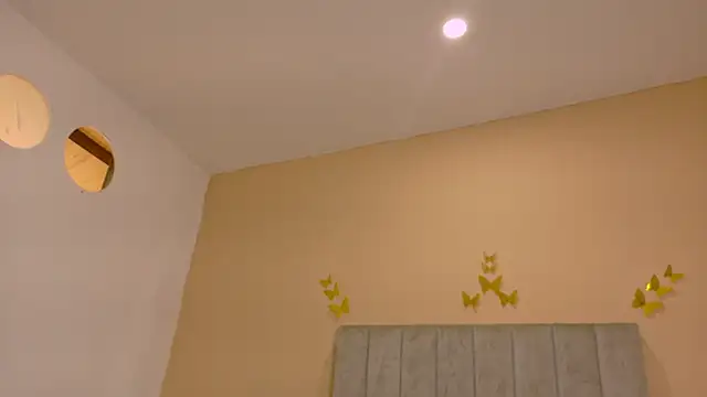 Nascary_Fox webcam