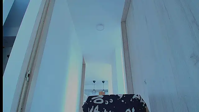 thomas_gun webcam
