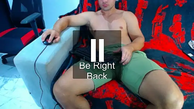 hugo_19cm webcam