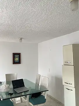 La-Gatiita-trans webcam