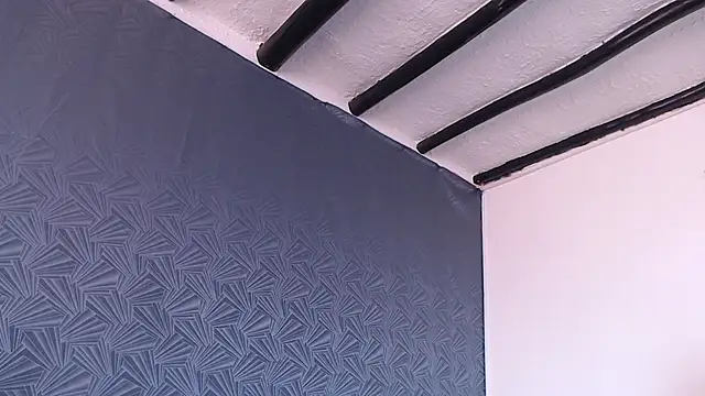 Freyja_eter webcam