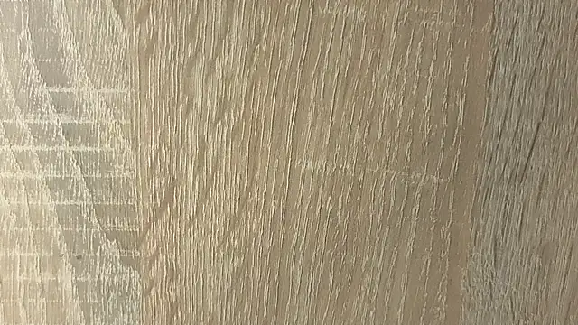 NoFace_Model webcam