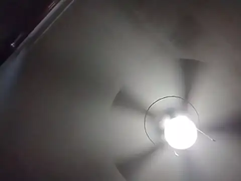 Wildgrace74 webcam