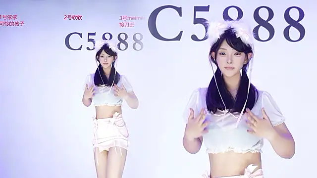 C5888 webcam