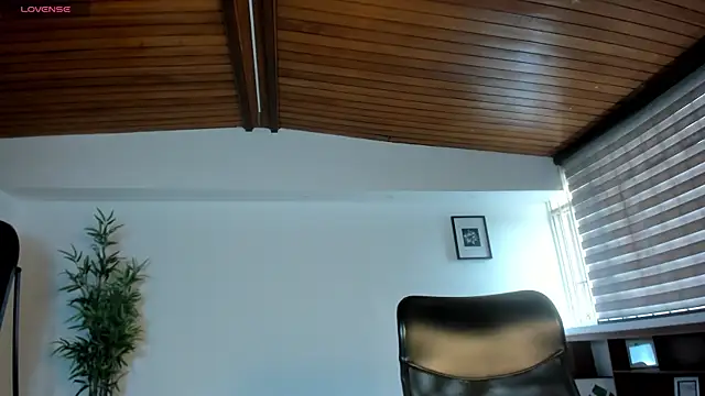 zoe_linss webcam