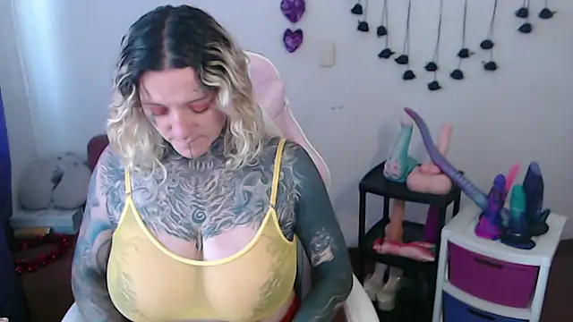 SLOPPYTITSS webcam