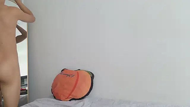 grey___27 webcam